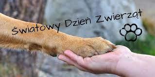 Zdjęcie 10